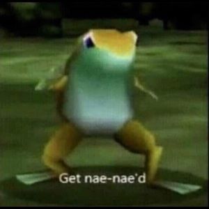 Meet your Posher, Thomas